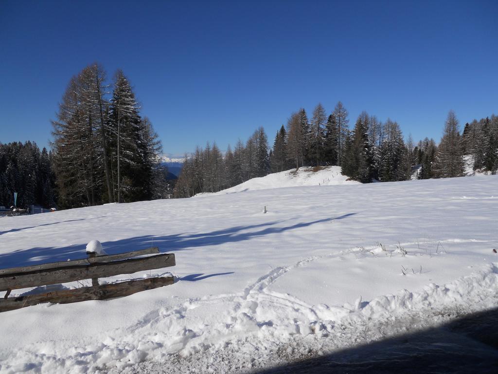 Tamion Apartamento Vigo di Fassa